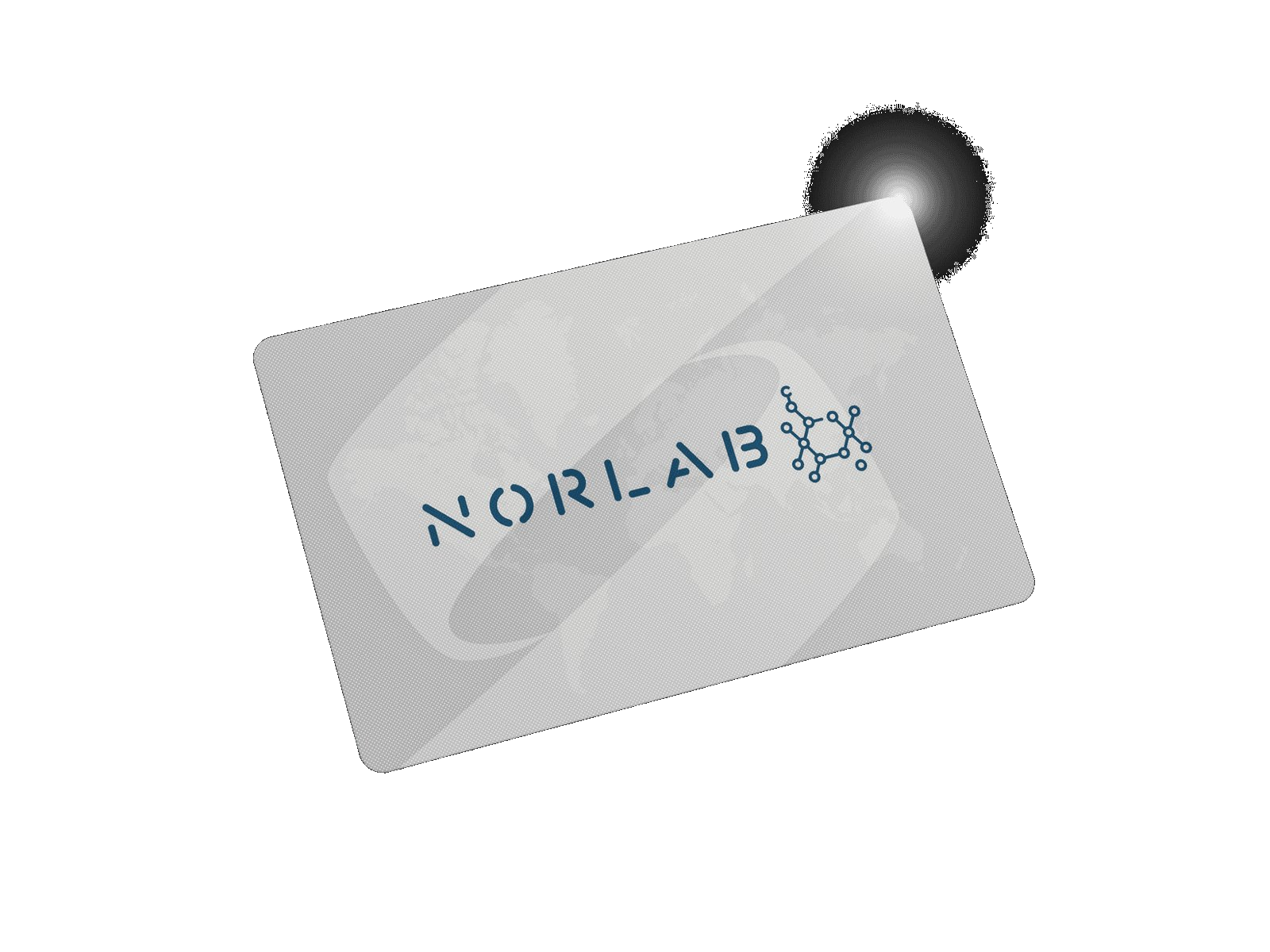 Crédito Norlab