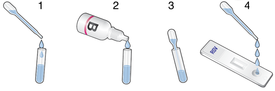 Prueba VSR – Detección de Antígenos del Virus Respiratorio Sincitial – CerTest - Imagen 6
