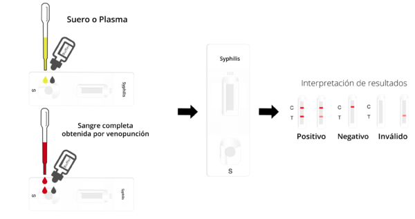 Prueba rápida de Sífilis – CERTUM - Imagen 3