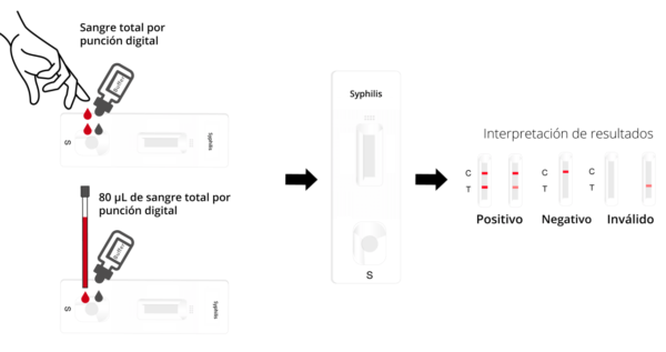 Prueba rápida de Sífilis – CERTUM - Imagen 2