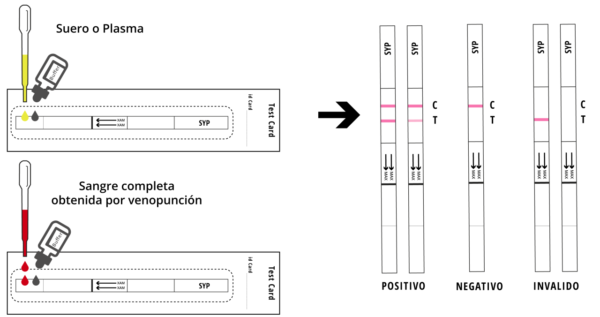 Prueba rápida de Sífilis – CERTUM - Imagen 6