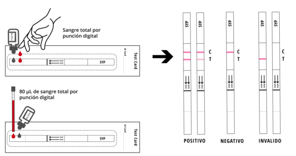 Prueba rápida de Sífilis – CERTUM - Imagen 5