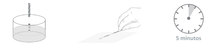 Prueba de embarazo en tira – Certum - Imagen 2