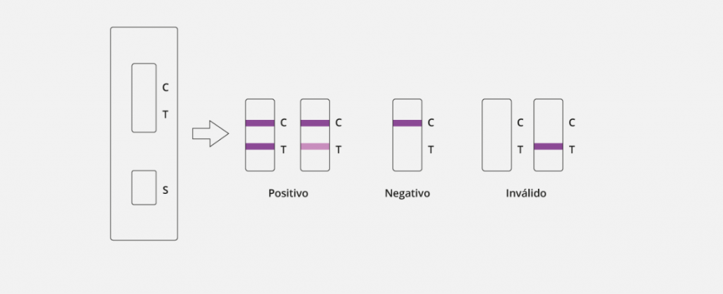 Prueba de Hepatitis C (VHC) CERTUM - Imagen 5