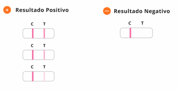 Prueba rápida de VIH en saliva – eco DIAGNOSTICA - Imagen 4