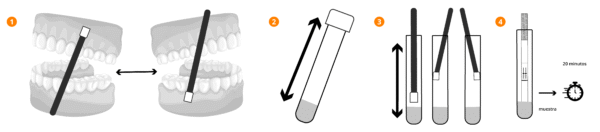 Prueba rápida de VIH en saliva – eco DIAGNOSTICA - Imagen 3