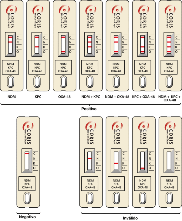 Prueba de Carbapenemasas – Resistencia antibióticos O.K.N. RESIST-3 – CORIS - Imagen 2