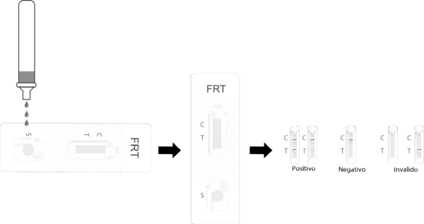 Prueba de Ferritina Rapid Test Cassette  – CERTUM - Imagen 4