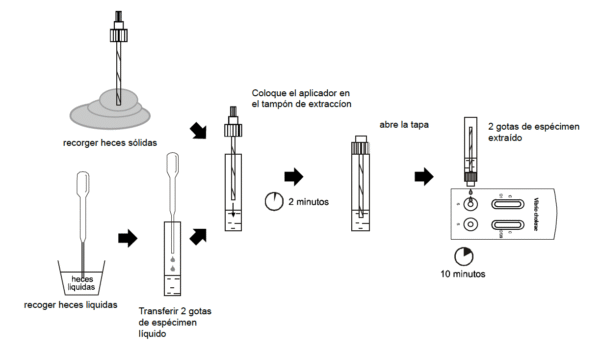 Vibrio cholerae Combo Rapid Test Cassette Cólera - Imagen 4